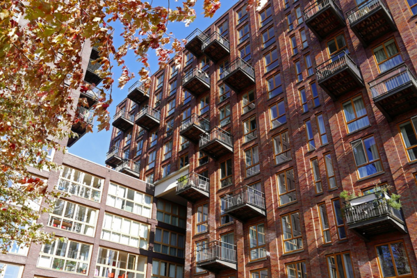 Developer Flats